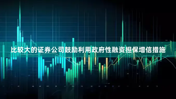 比较大的证券公司鼓励利用政府性融资担保增信措施