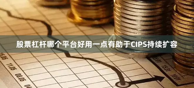 股票杠杆哪个平台好用一点有助于CIPS持续扩容