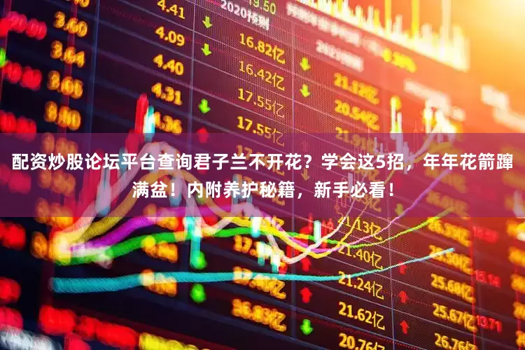 配资炒股论坛平台查询君子兰不开花？学会这5招，年年花箭蹿满盆！内附养护秘籍，新手必看！